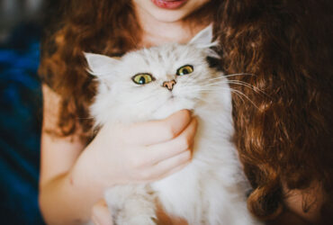 The Essential Guide to Cat Playtime: Enhancing Your Feline's Health and Happiness