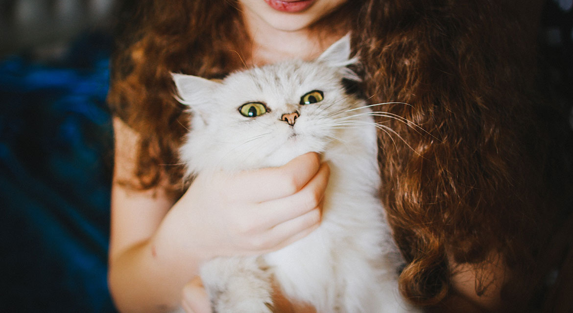 The Essential Guide to Cat Playtime: Enhancing Your Feline's Health and Happiness
