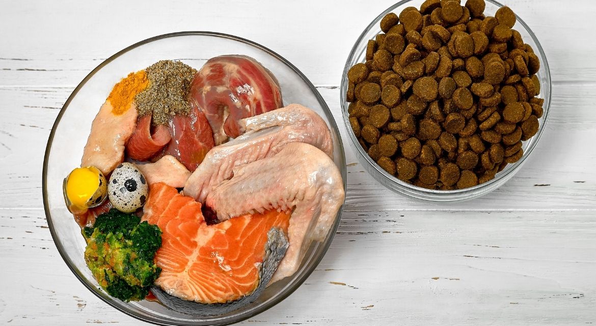 Best Dog Food for Allergies The Complete Veterinarian's Guide for 2025 (1)