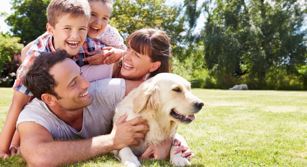 Complete Guide to Summer Pet Safety Tips Protecting Your Furry Friends from Heat-Related Dangers (1)