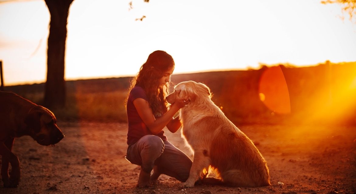 Complete Guide to Summer Pet Safety Tips Protecting Your Furry Friends from Heat-Related Dangers
