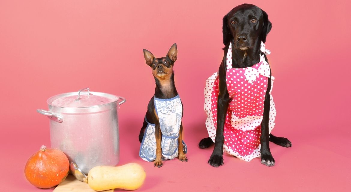 Raw vs Cooked Dog Food A Comprehensive Guide for Pet Parents (1)