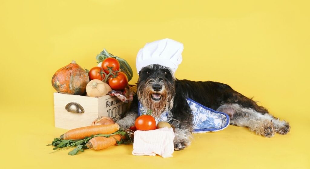 Raw vs Cooked Dog Food A Comprehensive Guide for Pet Parents