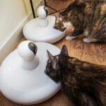 The Ultimate Guide to Smart Pet Gadgets in 2025: Revolutionizing Pet Care with Technology