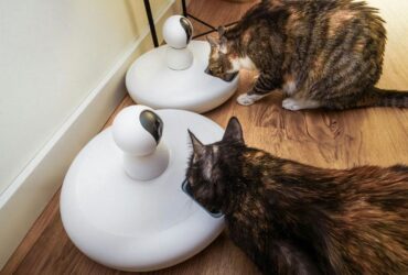 The Ultimate Guide to Smart Pet Gadgets in 2025: Revolutionizing Pet Care with Technology
