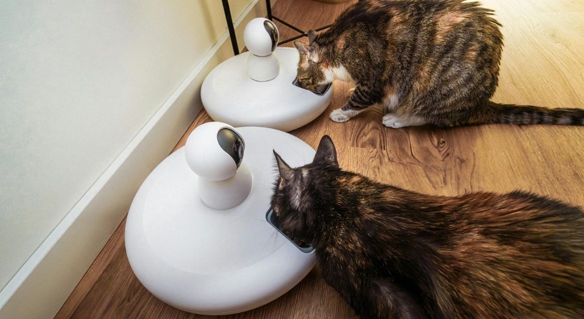 The Ultimate Guide to Smart Pet Gadgets in 2025: Revolutionizing Pet Care with Technology