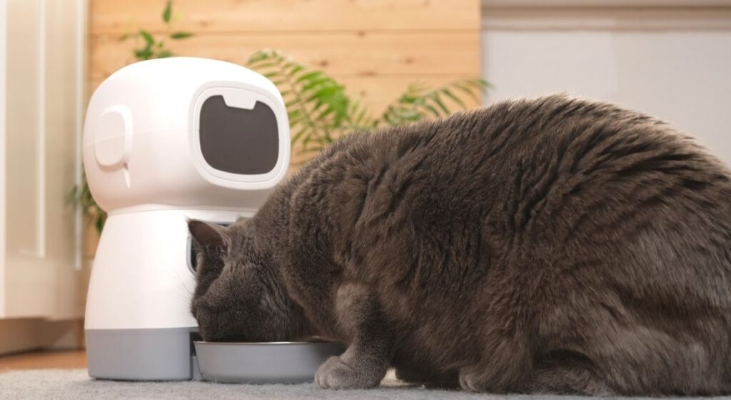 The Ultimate Guide to Smart Pet Gadgets in 2025: Revolutionizing Pet Care with Technology